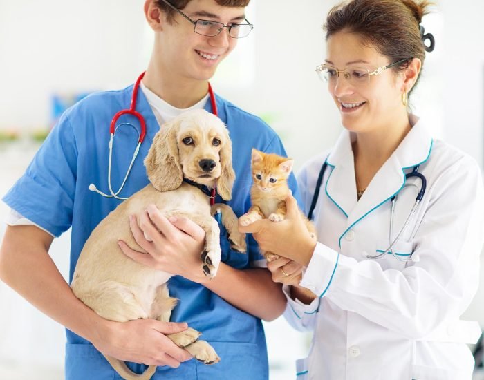 Same-Day Mobile Vet Services in London Same-Day Mobile Vet Services in London